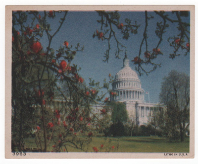 [The U.S. Capitol]
